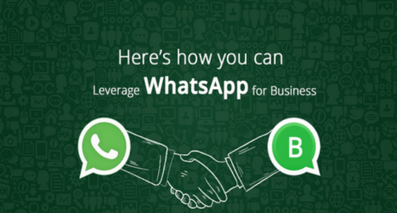 WhatsApp翻译助手，提供实时翻译，跨境主流翻译软件