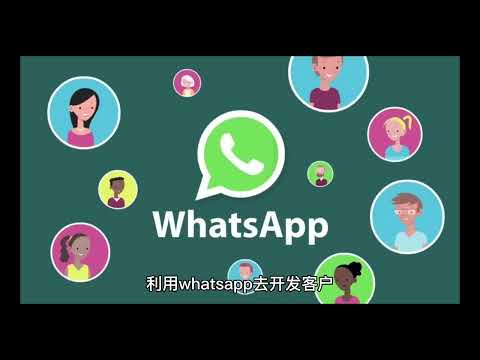 WhatsApp筛选，全球筛号系统-检测活跃号