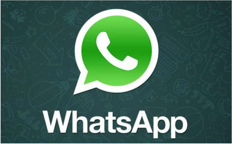使用WhatsApp翻译助手与用户聊天时需要注意什么?