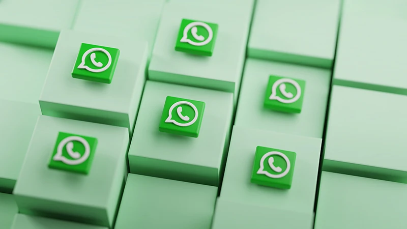 5款最好用的WhatsApp群发器推荐(2024)