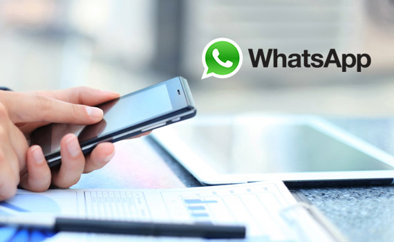 WhatsApp数据采集有什么用？