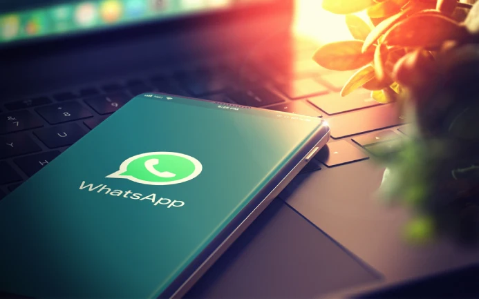 WhatsApp筛选器：提高营销效率，降低沟通成本!