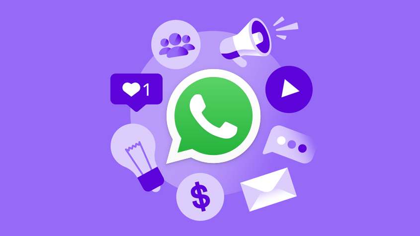 如何利用WhatsApp协议实现群发?