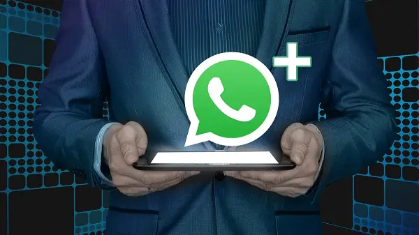 wa云控，强大的WhatsApp核心营销系统