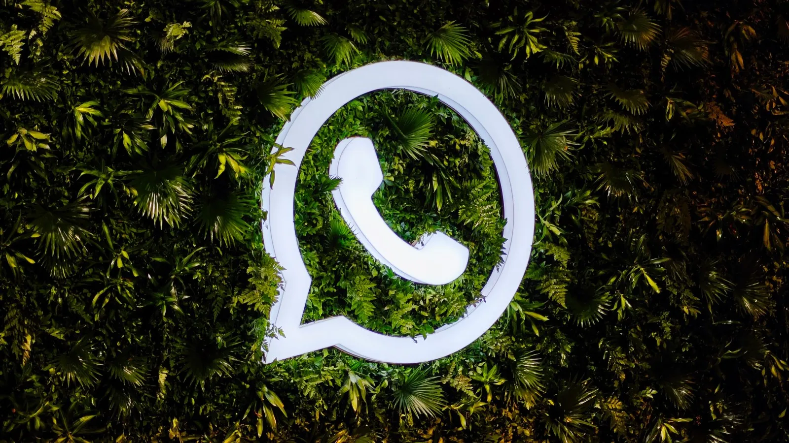 如何通过WhatsApp群发实现客户批量增长?