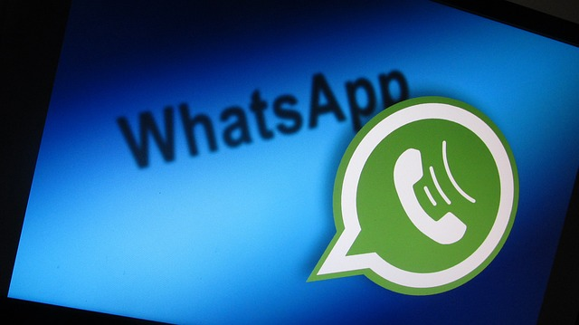 WhatsApp群发，批量引流获客