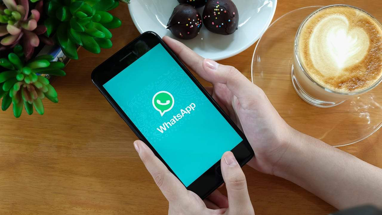 whatsapp群发，whatsapp营销获客