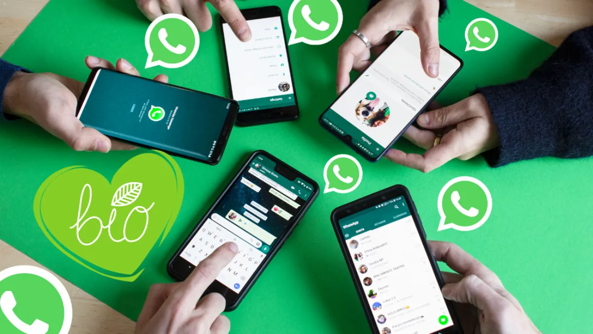 WhatsApp筛选工具