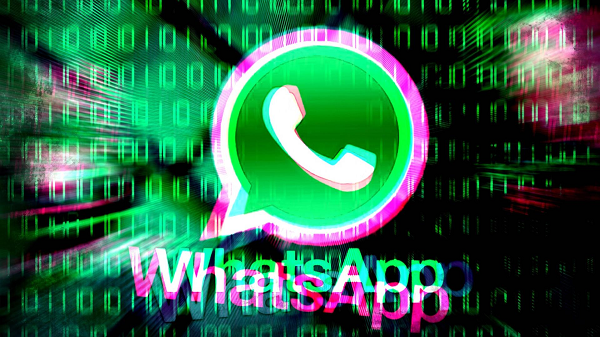 2024最新WhatsApp协议号解析