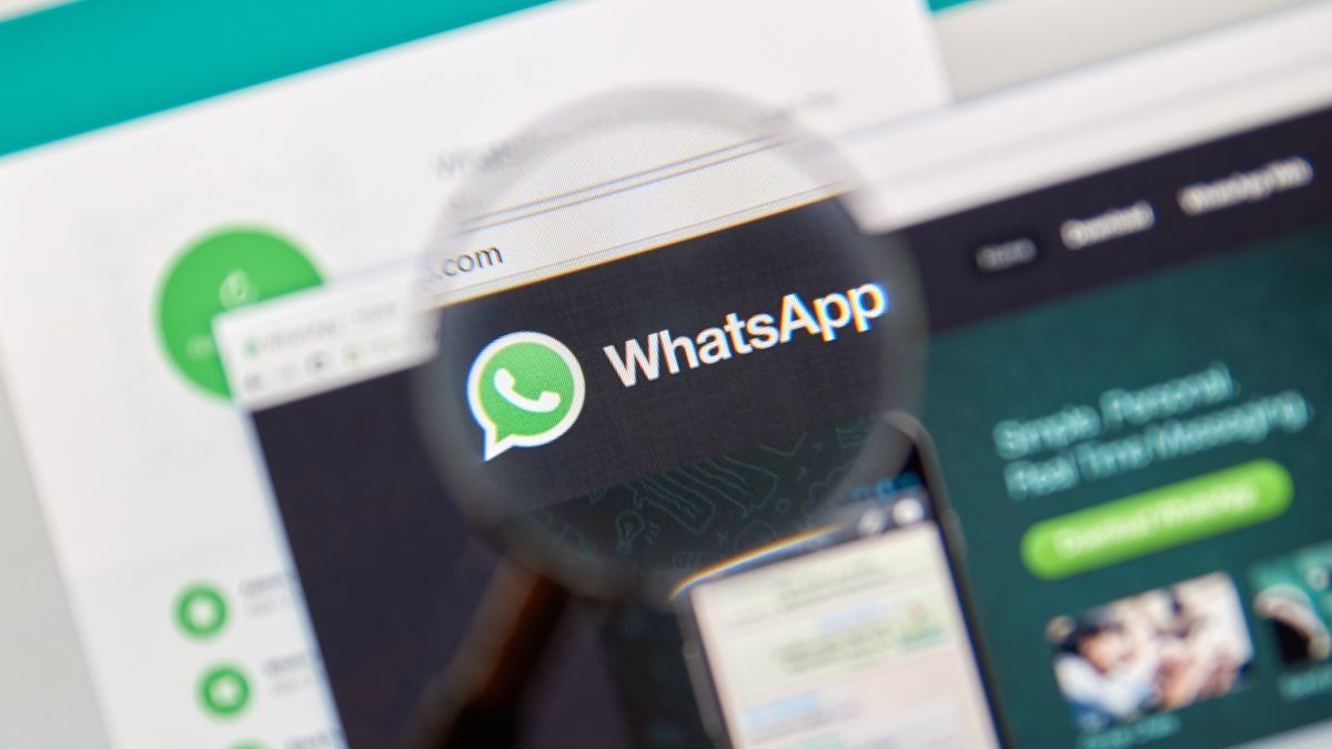 WhatsApp数据采集,闪电WhatsApp云控